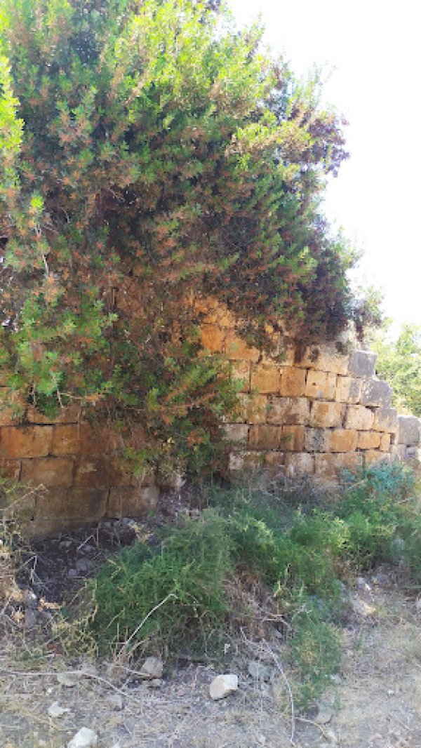 خربة المنوات / عكا