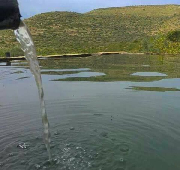  | موسوعة القرى الفلسطينية