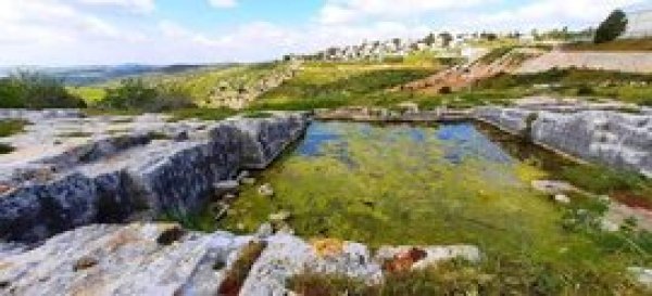  | موسوعة القرى الفلسطينية