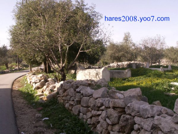  | موسوعة القرى الفلسطينية