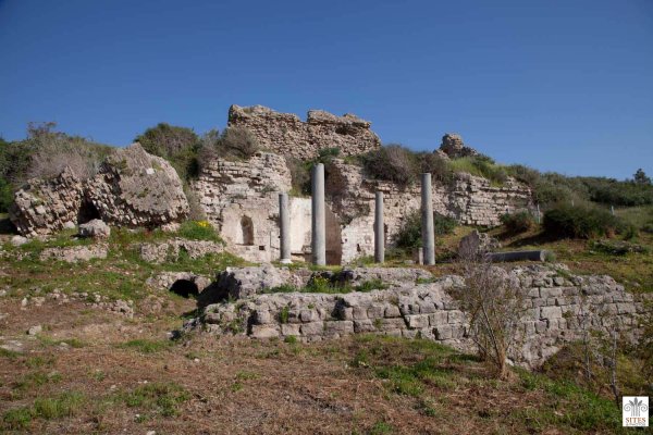  | موسوعة القرى الفلسطينية