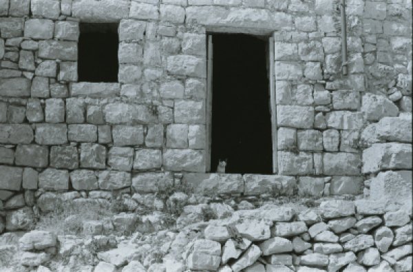  | موسوعة القرى الفلسطينية