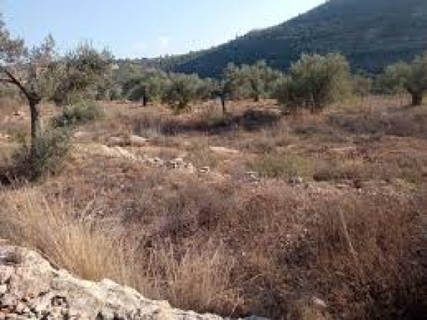  | موسوعة القرى الفلسطينية