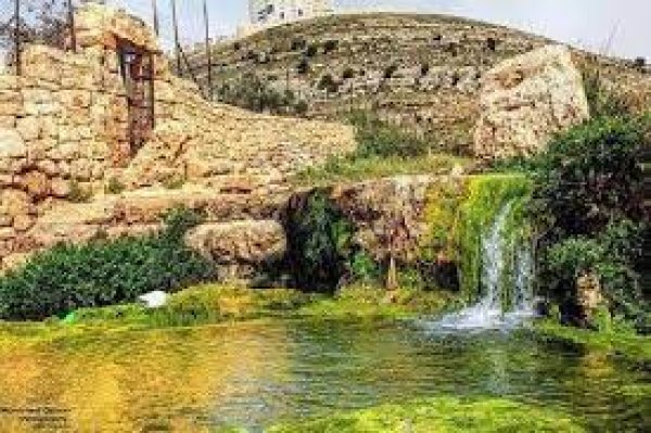  | موسوعة القرى الفلسطينية