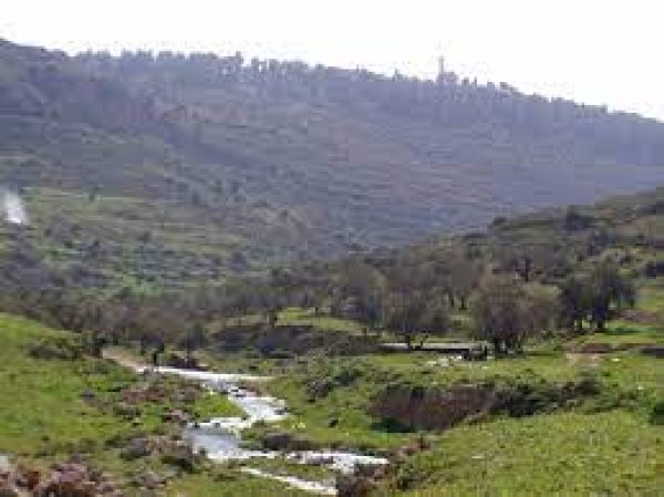  | موسوعة القرى الفلسطينية