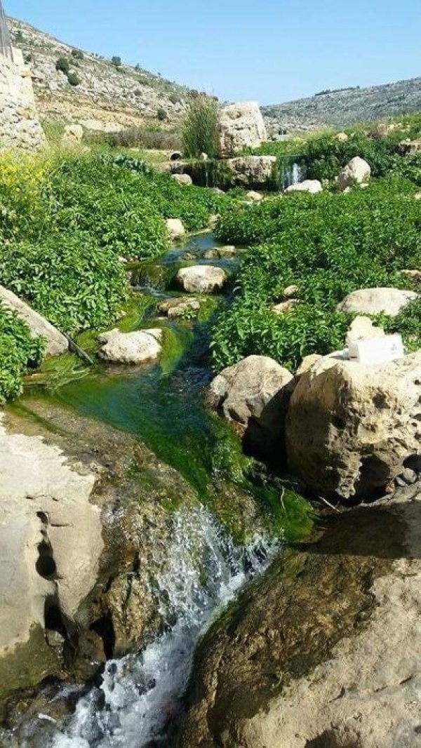  | موسوعة القرى الفلسطينية