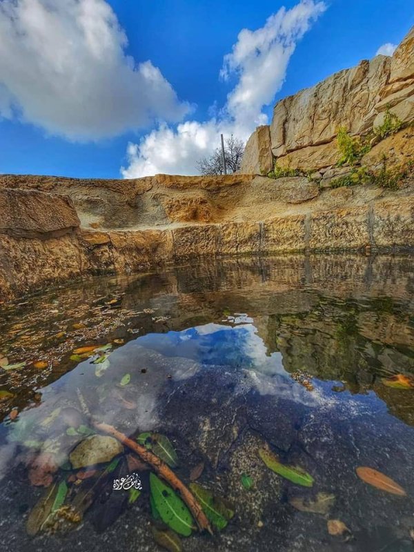  | موسوعة القرى الفلسطينية