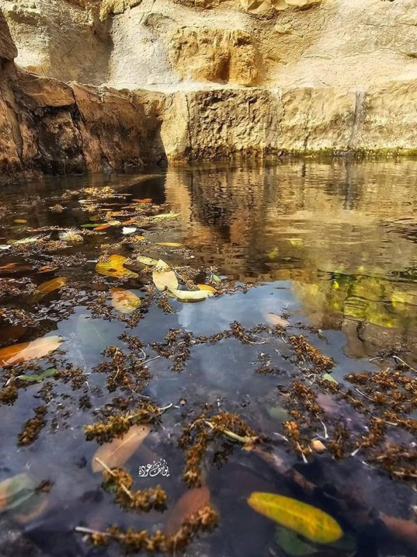  | موسوعة القرى الفلسطينية