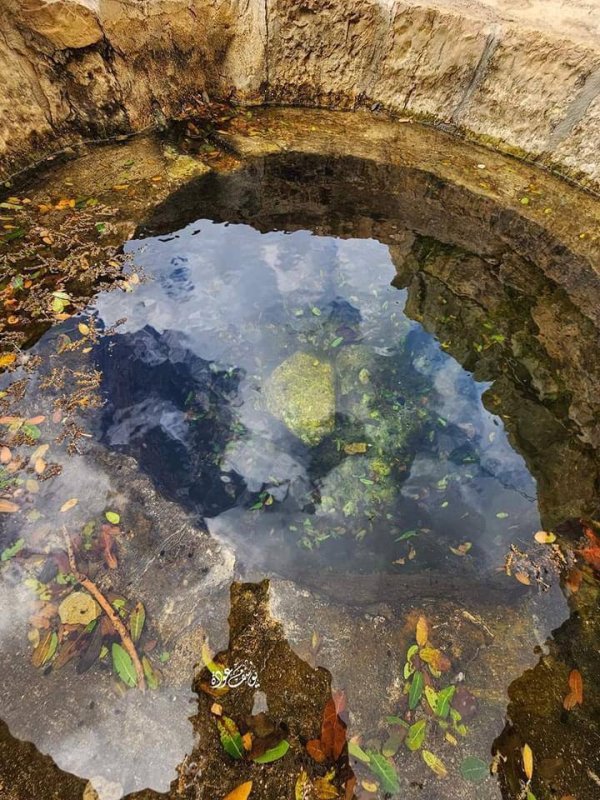  | موسوعة القرى الفلسطينية