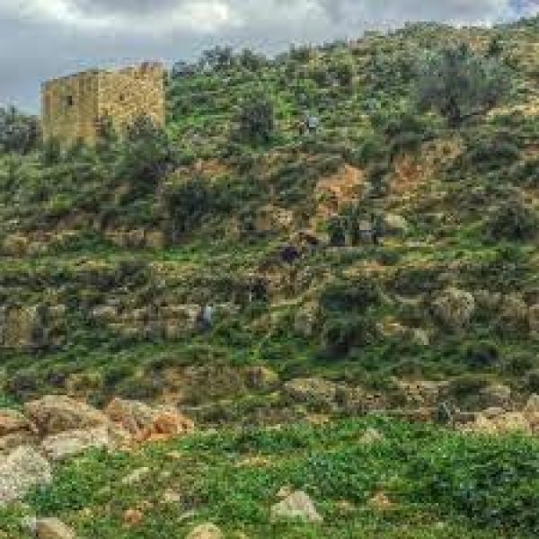  | موسوعة القرى الفلسطينية