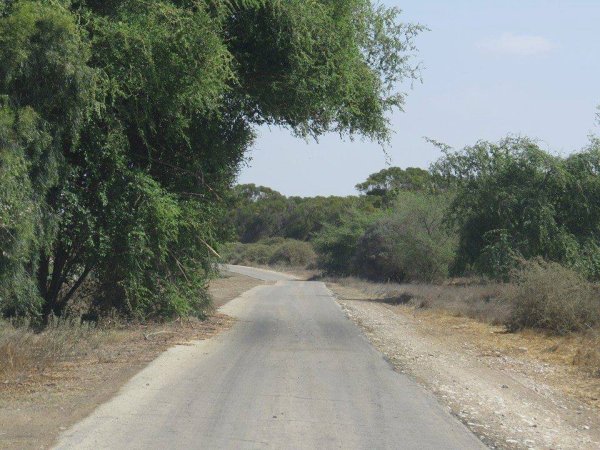  | موسوعة القرى الفلسطينية