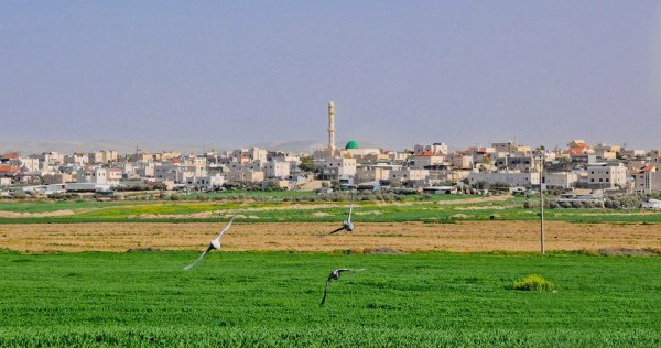 تل أبو محفوظ / بئر السبع