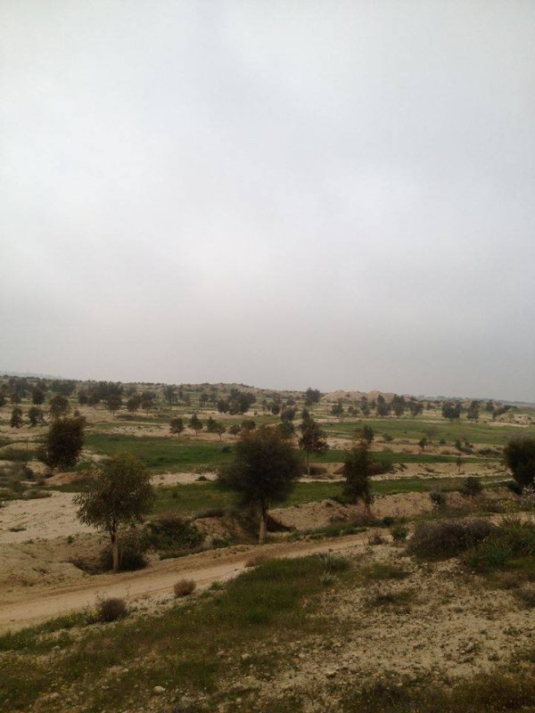 تل أبو محفوظ / بئر السبع