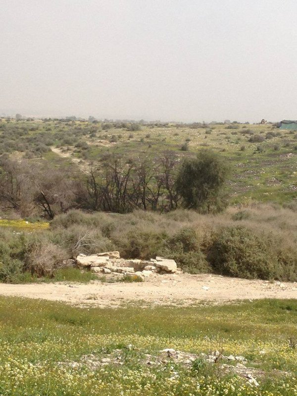 تل أبو محفوظ / بئر السبع