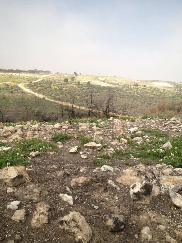 تل أبو محفوظ / بئر السبع