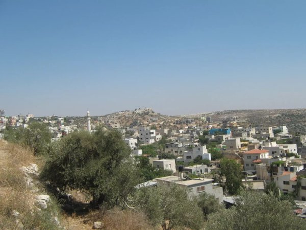 منازل القرية/قرية سرطة