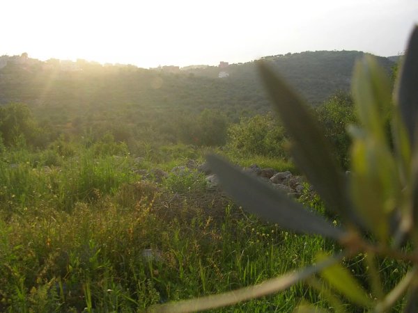  | موسوعة القرى الفلسطينية