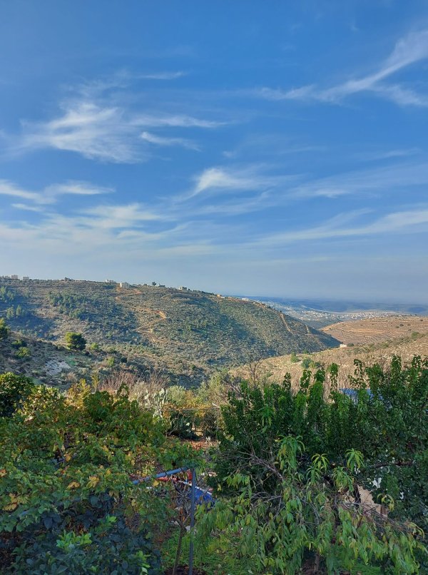  | موسوعة القرى الفلسطينية