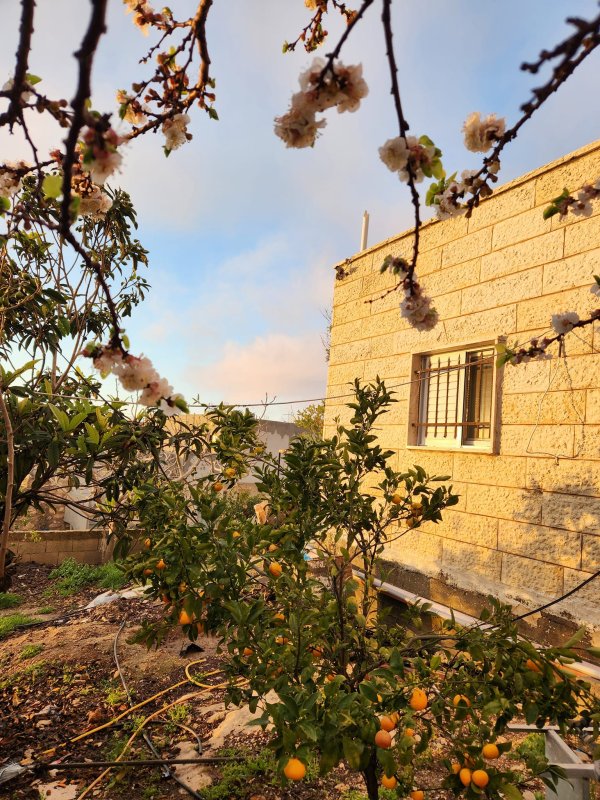  | موسوعة القرى الفلسطينية