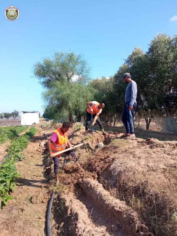 أعمال تصليح قنوات الري وشبكة ري المزروعات التي قام بها موظفو بلدية ام النصر في شهر ايلول/سبتمبر عام 2023 نقلاً عن صفحة بلدية أم النصر على فيسبوك