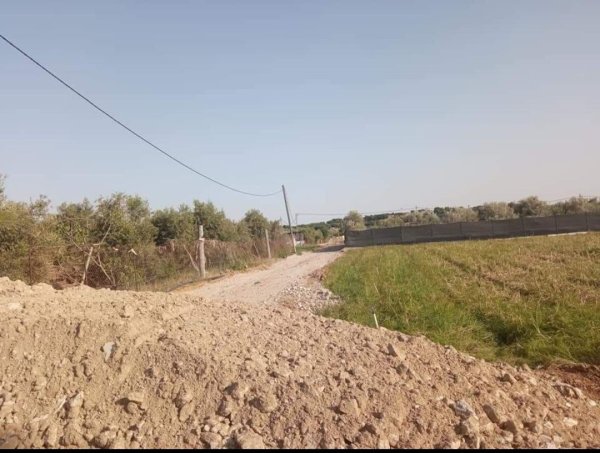 الأراضي الزراعية والمشروع الزراعي في القرية، نقلاً عن صفحة بلدية أم النصر الرسمية على فيسبوك