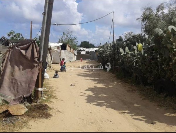 صور من قرية أم النصر شمال مدينة غزة/ شبكة نوى