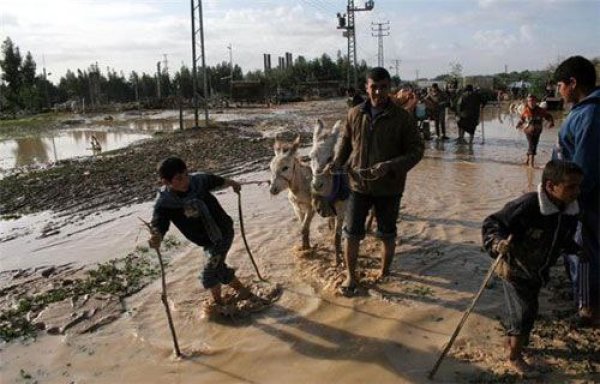 صور من قرية أم النصر شمال مدينة غزة