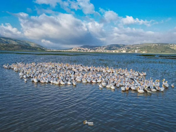  | موسوعة القرى الفلسطينية