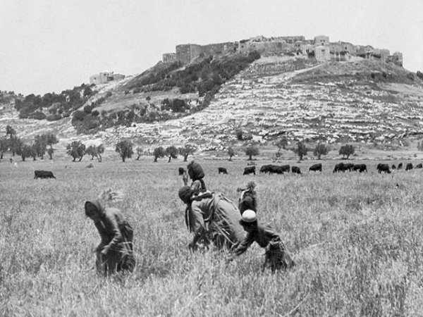  | موسوعة القرى الفلسطينية