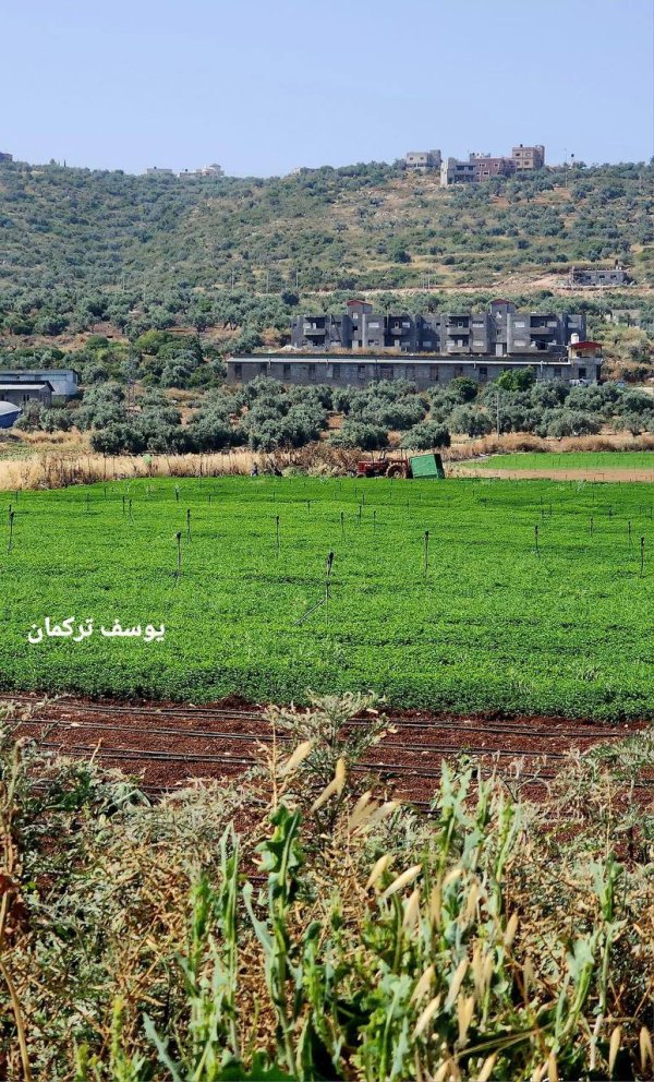  | موسوعة القرى الفلسطينية