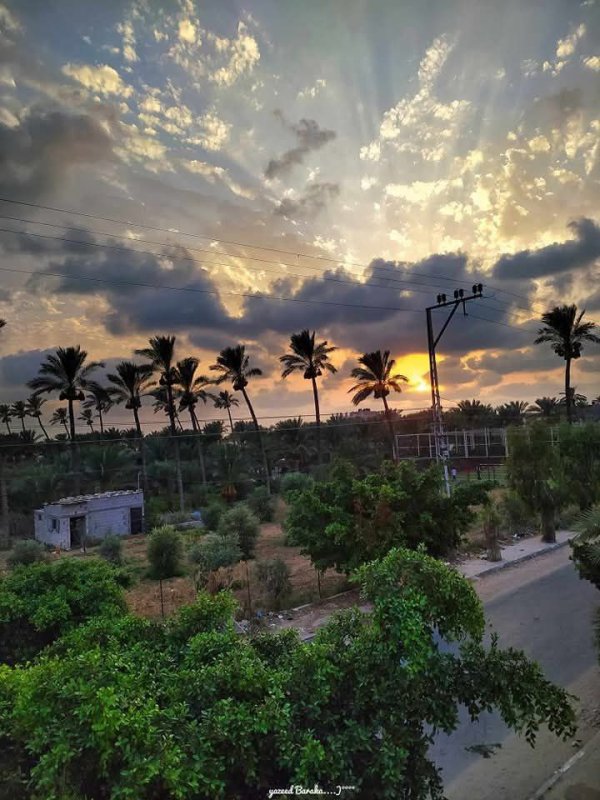  | موسوعة القرى الفلسطينية