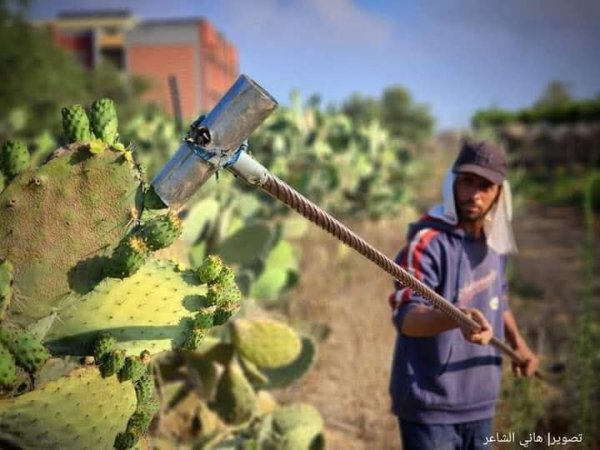  | موسوعة القرى الفلسطينية