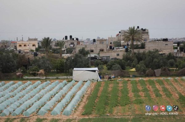  | موسوعة القرى الفلسطينية