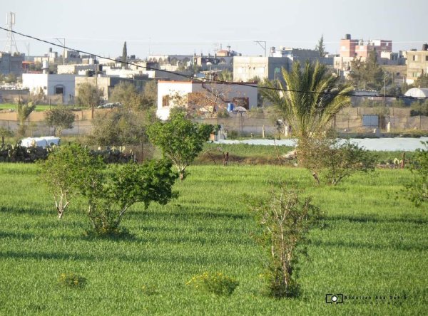  | موسوعة القرى الفلسطينية