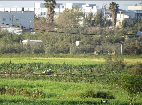  | موسوعة القرى الفلسطينية