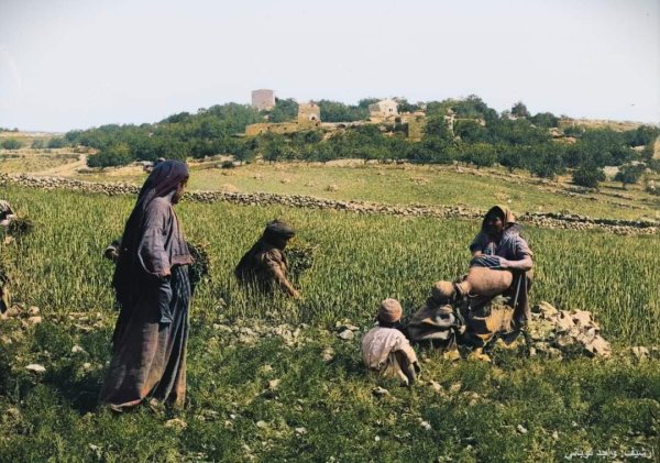  | موسوعة القرى الفلسطينية