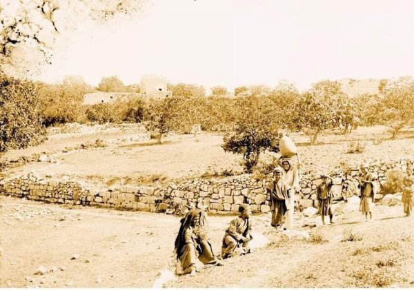  | موسوعة القرى الفلسطينية