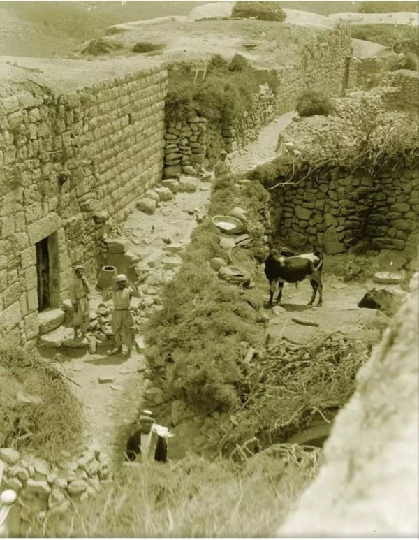  | موسوعة القرى الفلسطينية