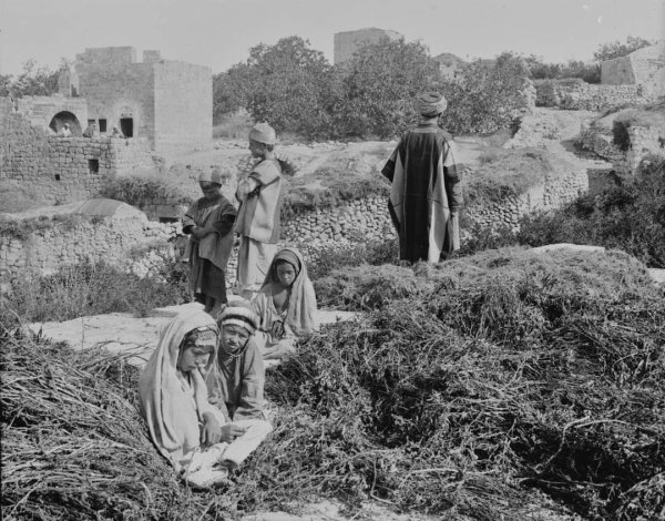  | موسوعة القرى الفلسطينية