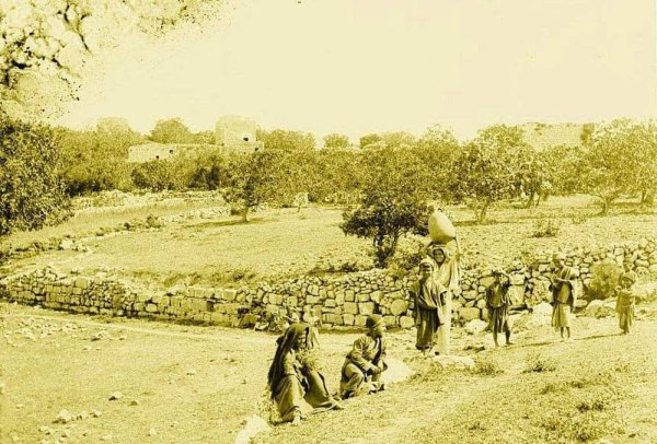  | موسوعة القرى الفلسطينية