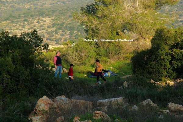 | موسوعة القرى الفلسطينية  | موسوعة القرى الفلسطينية