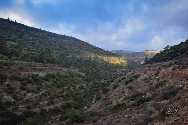 | موسوعة القرى الفلسطينية  | موسوعة القرى الفلسطينية