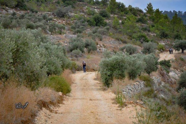 | موسوعة القرى الفلسطينية  | موسوعة القرى الفلسطينية