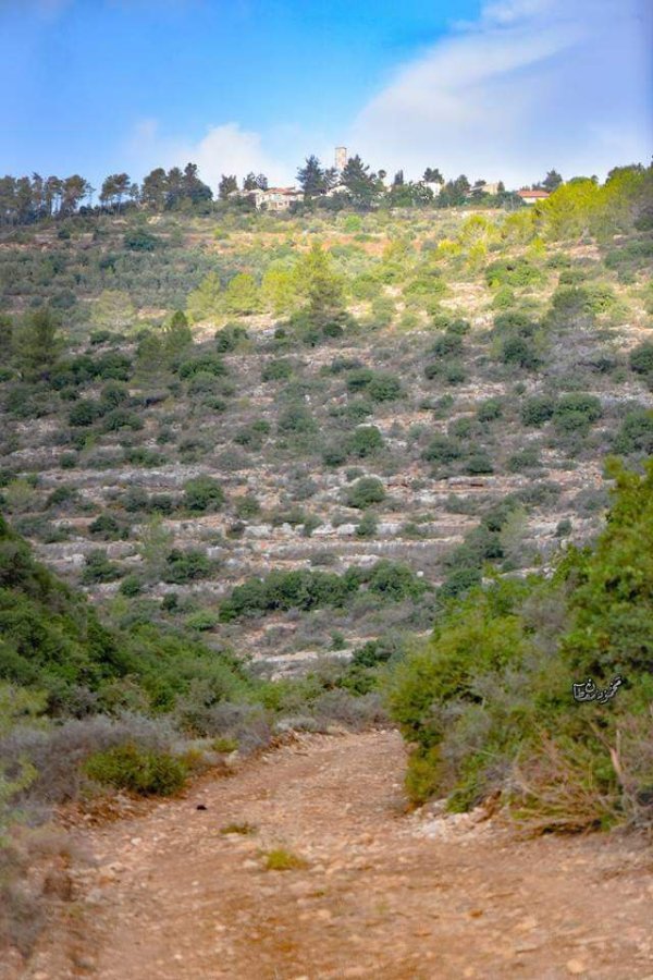 | موسوعة القرى الفلسطينية  | موسوعة القرى الفلسطينية