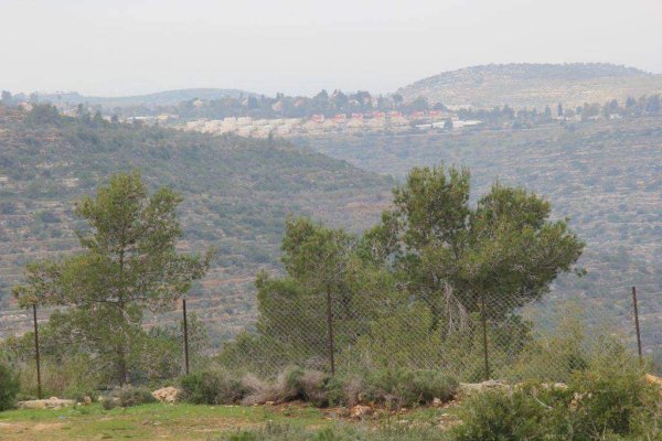 | موسوعة القرى الفلسطينية  | موسوعة القرى الفلسطينية