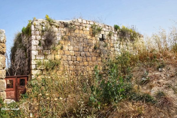 | موسوعة القرى الفلسطينية  | موسوعة القرى الفلسطينية