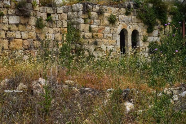 | موسوعة القرى الفلسطينية  | موسوعة القرى الفلسطينية