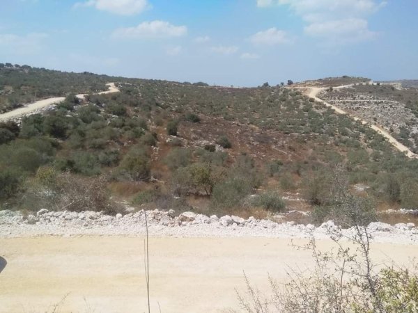  | موسوعة القرى الفلسطينية