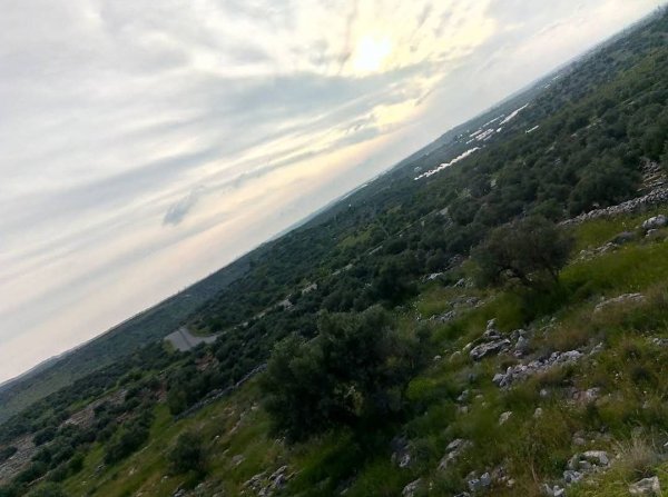  | موسوعة القرى الفلسطينية