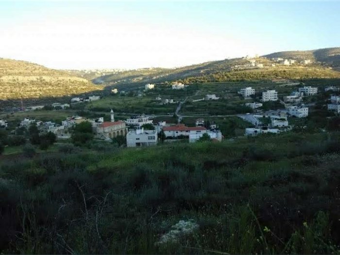 عين سينيا  | موسوعة القرى الفلسطينية